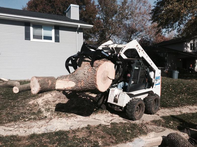 Tree Removal Kansas City, Missouri