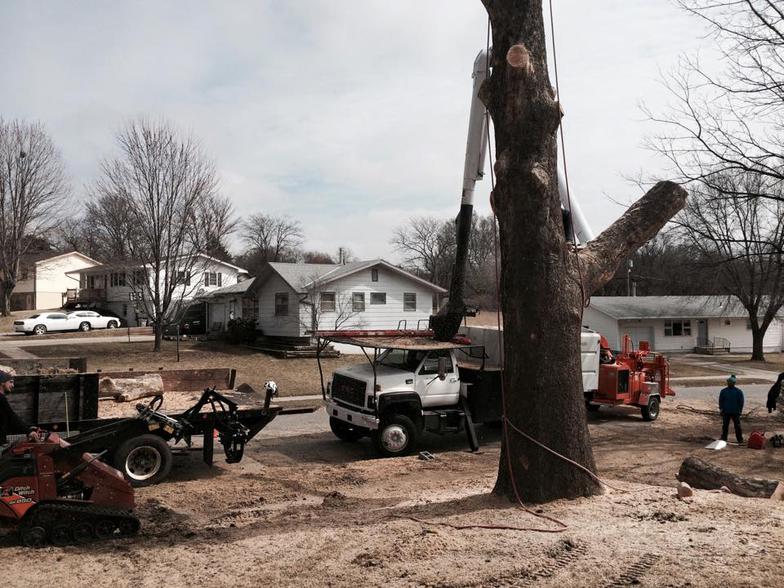 Tree Removal Kansas City, Missouri