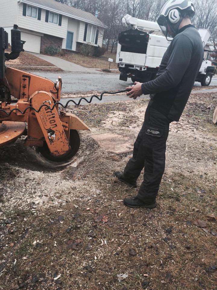 Stump Removal Kansas City, Missouri