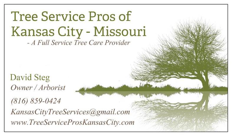 Tree Service Kansas City, Missouri